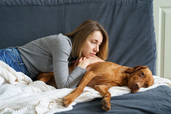 Hunde
