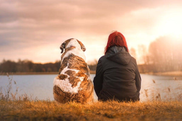 Ein Hund und eine Frau sitzen am Ufer eines Sees