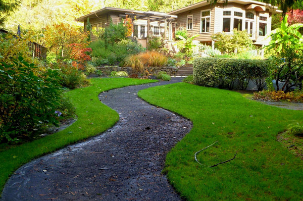 Blick auf ein Haus mit Garten