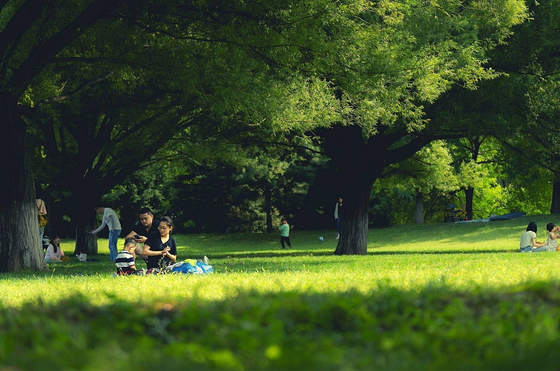 Mückenabwehr - Stechmücken und Moskitos erfolgreich vertreiben!