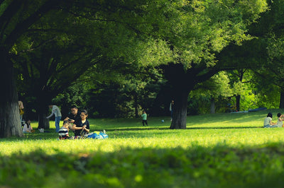 Menschen in einem Park