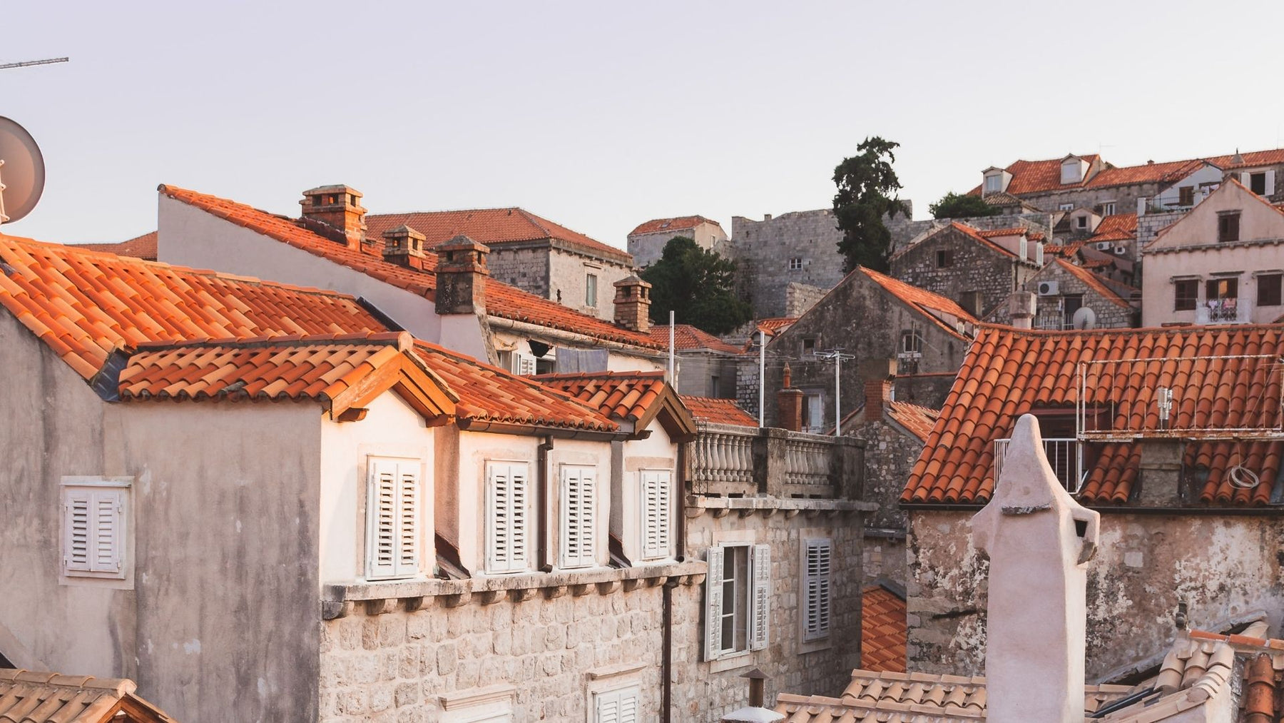 Taubenabwehr – effektive Maßnahmen mit nachhaltiger Wirkung