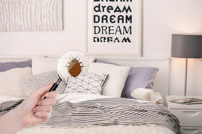 Woman with magnifying glass detecting bed bug in bedroom
