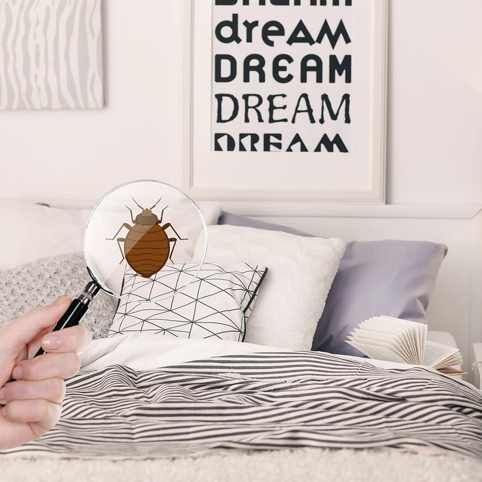 Woman with magnifying glass detecting bed bug in bedroom