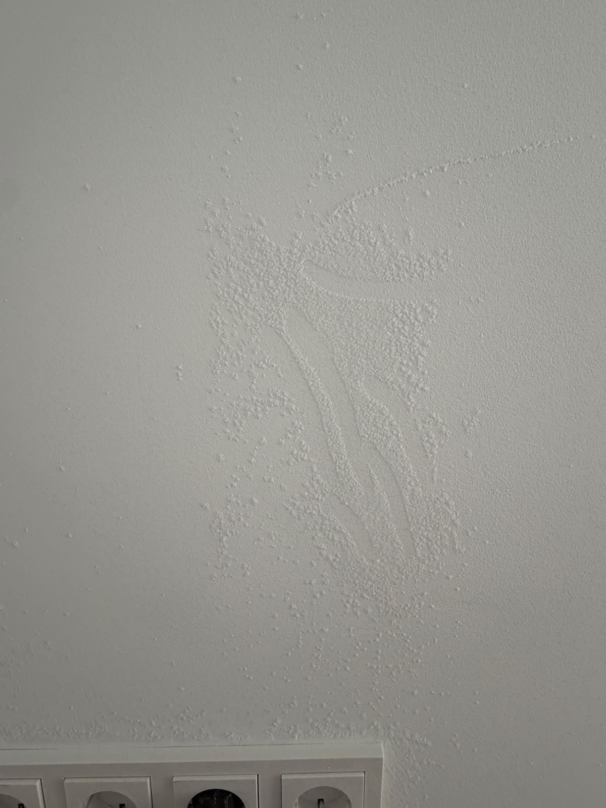 Salzausblühung oder Schimmel? Ein Praxisfall mit Wärmebild und Feuchtemessung
