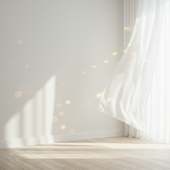 Stockflecken Ursache: Entstehung und Entfernung