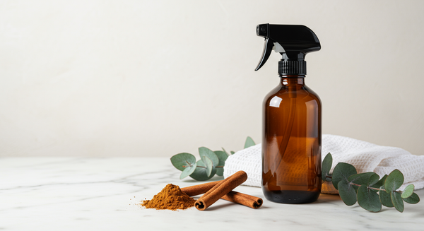 Zimt gegen Schimmel: Hausmittel im Test