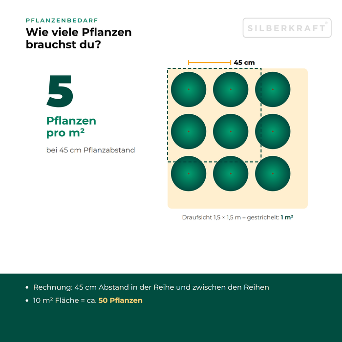 Pflanzenbedarf Heckenmyrte 'Maigrün': ca. 5 Pflanzen pro m² bei 45 cm Pflanzabstand