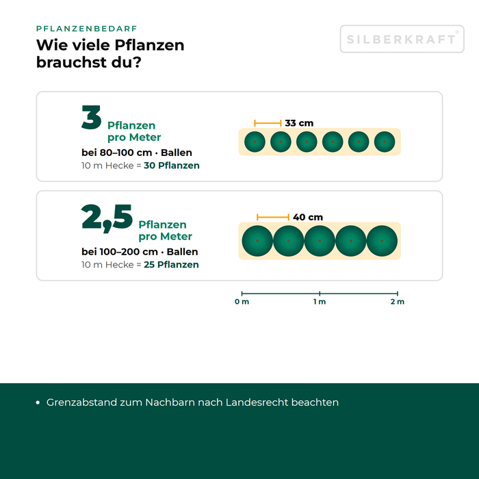 Pflanzenbedarf Kirschlorbeer 'Elly': 2,5 bis 3 Pflanzen pro Meter Hecke je nach Größe, Pflanzabstand in der Draufsicht