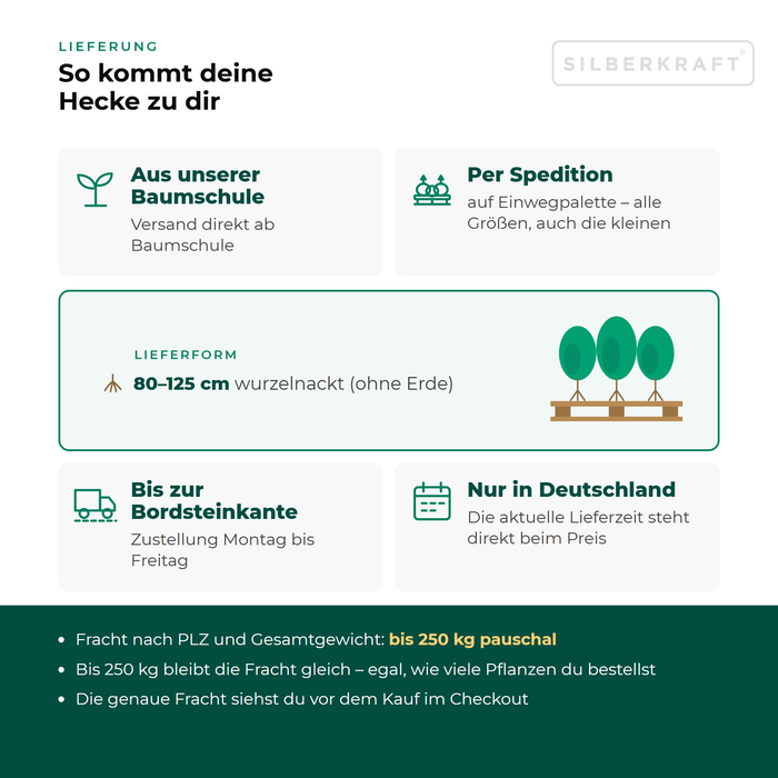 Lieferung Eberesche (Vogelbeere): aus unserer Baumschule per Spedition auf Einwegpalette bis zur Bordsteinkante, nur innerhalb Deutschlands, Fracht bis 250 kg pauschal