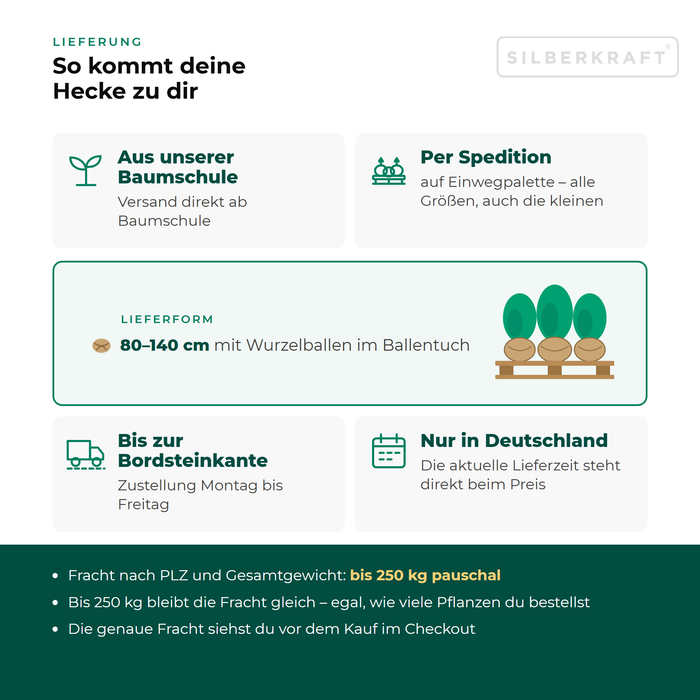 Lieferung Kirschlorbeer 'Bonaparte': aus unserer Baumschule per Spedition auf Einwegpalette bis zur Bordsteinkante, nur innerhalb Deutschlands, Fracht bis 250 kg pauschal