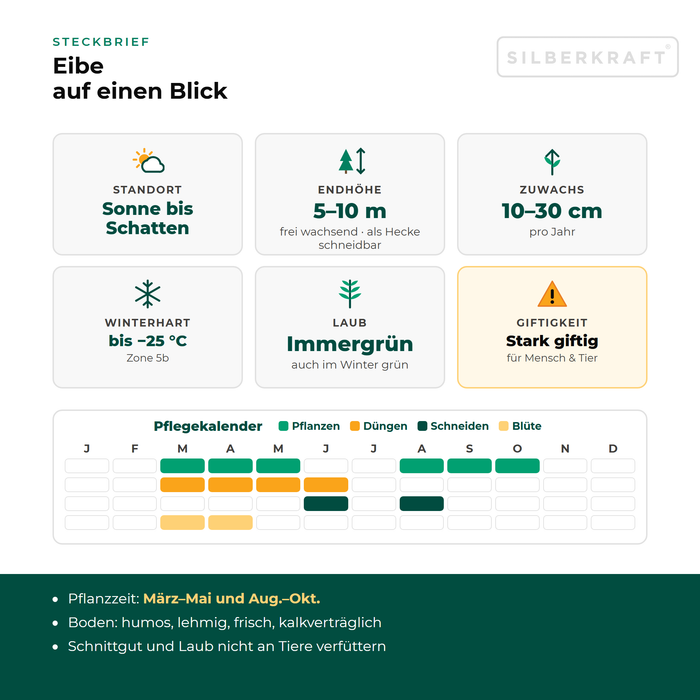 Steckbrief Eibe: Standort Sonne bis Schatten, Endhöhe 5–10 m, Zuwachs 10–30 cm pro Jahr, winterhart bis −25 °C – mit Pflegekalender