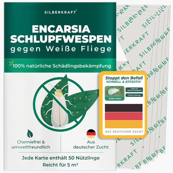 Tüte eines Produktes mit dem Titel Schlupfwespen gegen Weiße Fleigen. Ein Weiße Fliege sitzt auf einem Blatt.