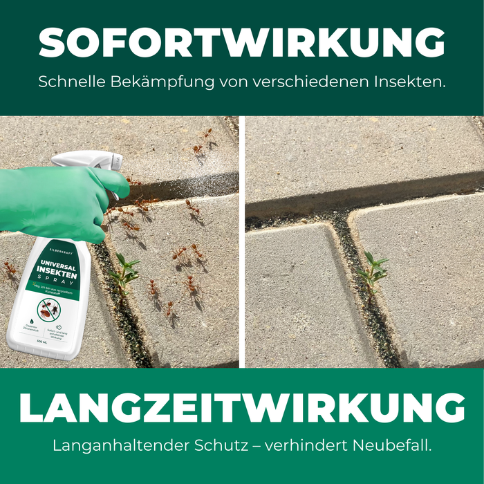 Sofort- und Langzeitwirkung gegen Insekten: Vorher-Nachher-Darstellung der effektiven Bekämpfung von Ameisen mit einem Universal-Insektenspray. Links: Anwendung des Sprays mit sofortiger Wirkung gegen kriechende Insekten. Rechts: saubere Fläche ohne Ameisen dank langanhaltendem Schutz vor Neubefall.