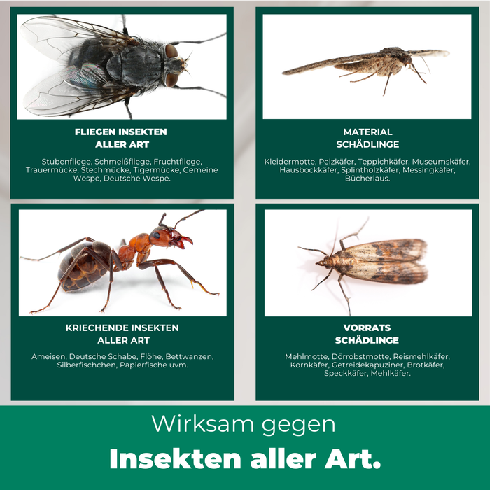 Übersicht der wirksamen Insektenbekämpfung: Darstellung verschiedener Schädlingsarten, die bekämpft werden können. Fliegende Insekten wie Stubenfliegen, Fruchtfliegen und Wespen, Materialschädlinge wie Kleidermotten und Pelzkäfer, kriechende Insekten wie Ameisen und Bettwanzen sowie Vorratsschädlinge wie Mehlmotten und Kornkäfer. Effektive Lösung gegen Insekten aller Art.