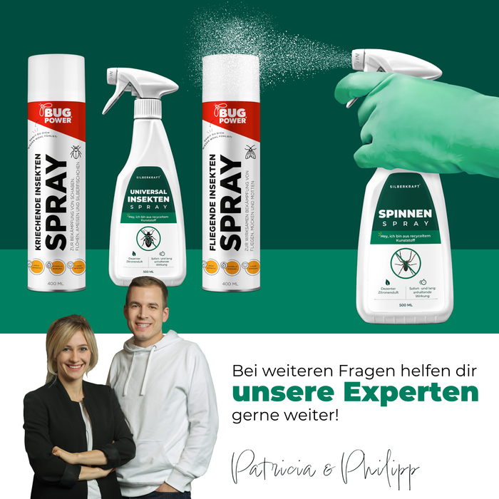 Spinnenspray - Anti Spinnen Mittel