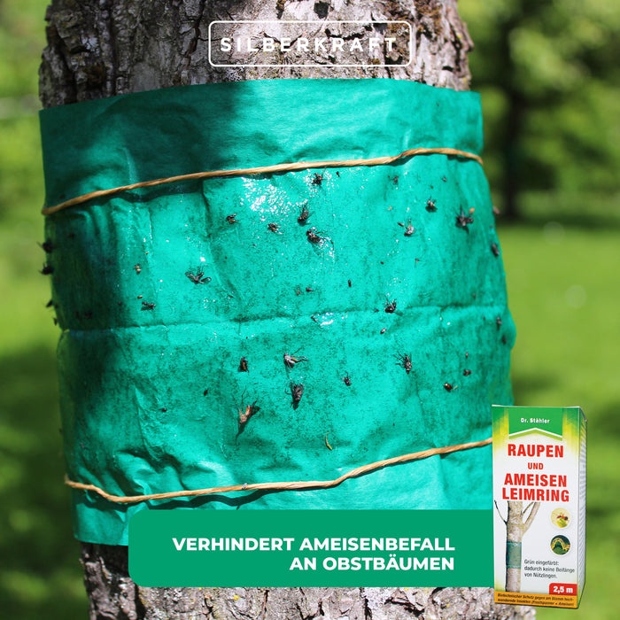 Raupen- und Ameisen-Leimring: Biotechnischer Schutz für Obstbäume