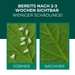 Befallenes Blatt ist beschädigt. Weiße Fliegen laufen auf dem Blatt herum.