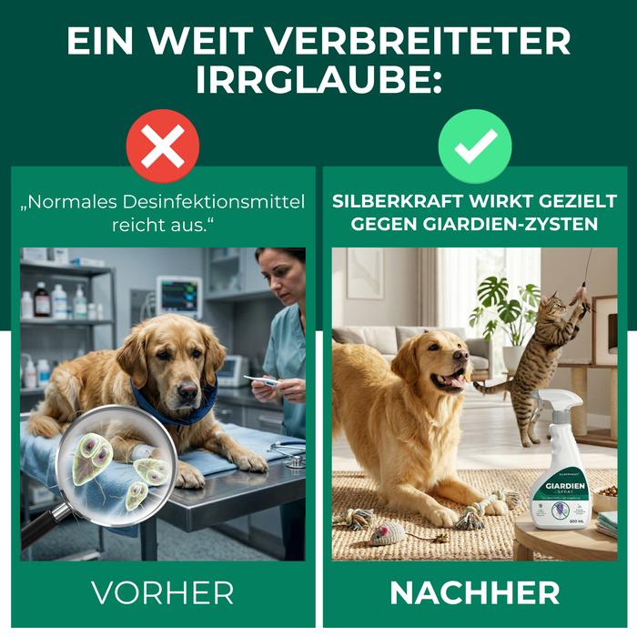 Giardienspray gegen Giardien, Bakterien, Viren & Pilze inkl. kostenloses eBook - Silberkraft