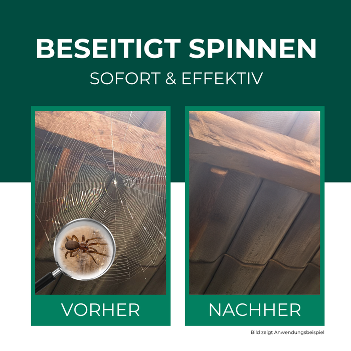 Spinnenspray Wirkung vorher nachher – Spinnen effektiv und schnell beseitigen im Innen- und Außenbereich