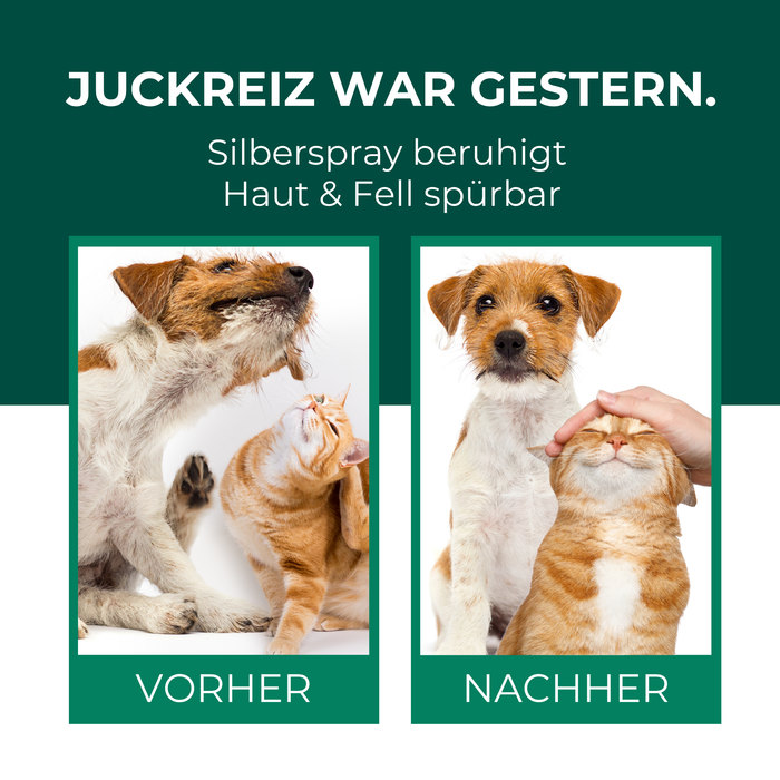 Kolloidales Silberspray 100 ml - Spray zur Wundheilung - Hautpflege bei Ungezieferbefall, Juckreiz, Infektionen, Entzündungen - für Hunde, Katzen, Nagetiere und andere Haustiere