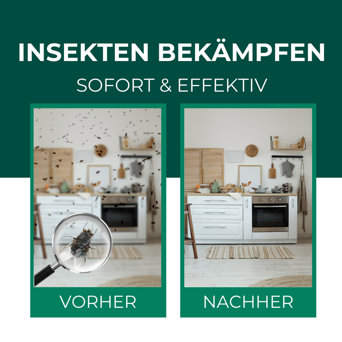 Vorher-Nachher Vergleich: Effektive Insektenbekämpfung in der Küche. Links: Küche mit starkem Insektenbefall, rechts: saubere, insektenfreie Küche nach Anwendung eines Insektensprays. Sofortige und effektive Wirkung gegen Fliegen, Motten und andere Schädlinge.