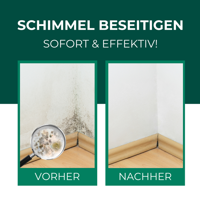 Schimmelentferner / Schimmelspray mit E-Book - Gegen Schimmel & Stockflecken