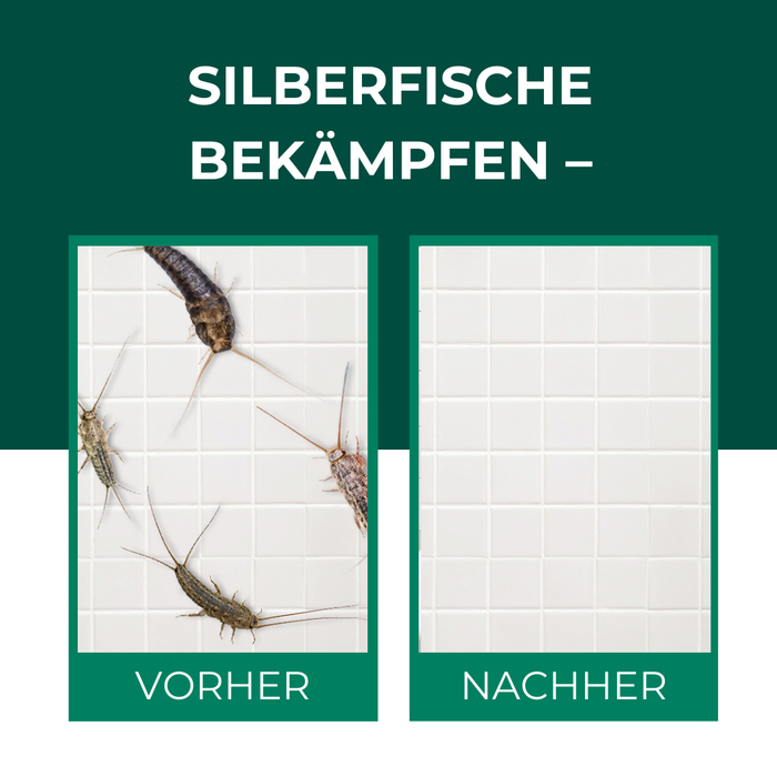 Silberfische Vorher-Nachher-Vergleich: links mehrere Silberfische auf weißer Fliesenwand, rechts saubere Fliesen ohne Silberfische nach erfolgreicher Bekämpfung mit Silberkraft Köder
