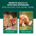 Vorher-Nachher-Vergleich: Huhn mit Vogelmilbenbefall und gesunde Hühner nach dem Einsatz der Raubmilben