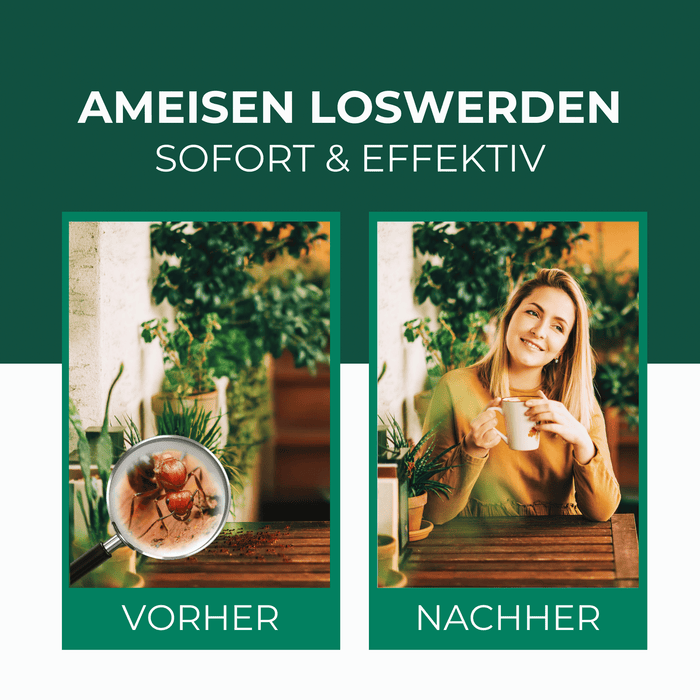 Ameisen-Ex Gel: Sofortige Lösung gegen Ameisenbefall im Innen- und Außenbereich - Silberkraft