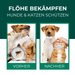 Vorher-Nachher-Bild von zwei Hunden, das die Wirkung des Silberkraft Flohsprays demonstriert. Der linke Hund hat Flöhe, der rechte Hund ist flohfrei.