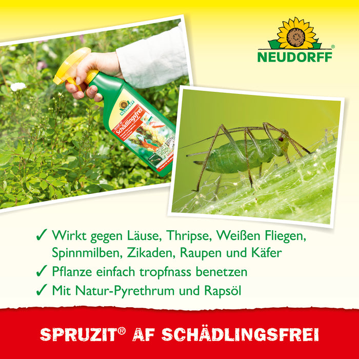 Spruzit NEEM GemüseSchädlingsfrei