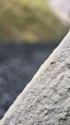 Fettspinne