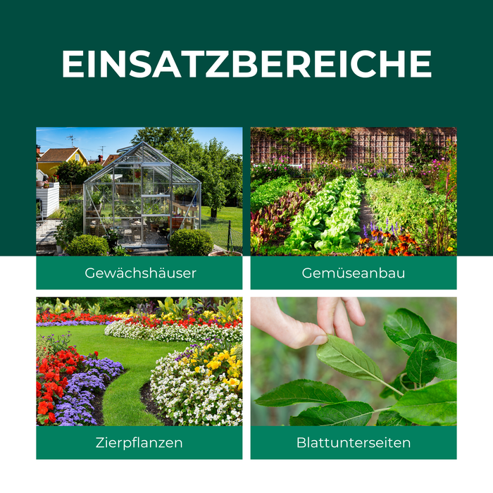 Ein Gewächshaus in einem Garten, ein Gemüsefeld mit verschiedenen Salatarten, ein Garten mit vielen bunten Blumen und eine Hand, die ein Blatt festhält, sind zu sehen. ine grüne Baumkrone, der Stamm eines Pflaumenbaums mit frischen, lila Früchten und eine Menge von geernteten Pflaumen. 
