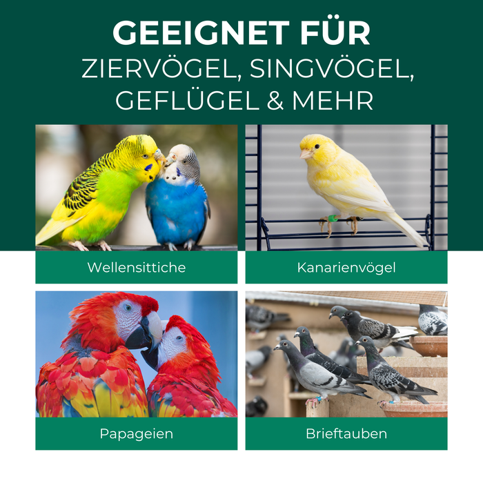 Geeignet für Ziervögel, Singvögel, Geflügel & mehr: Übersicht mit Bildern von Wellensittichen, Kanarienvögeln, Papageien und Brieftauben als Beispiel für die Anwendbarkeit eines Produkts zur Vogelpflege oder Milbenabwehr.