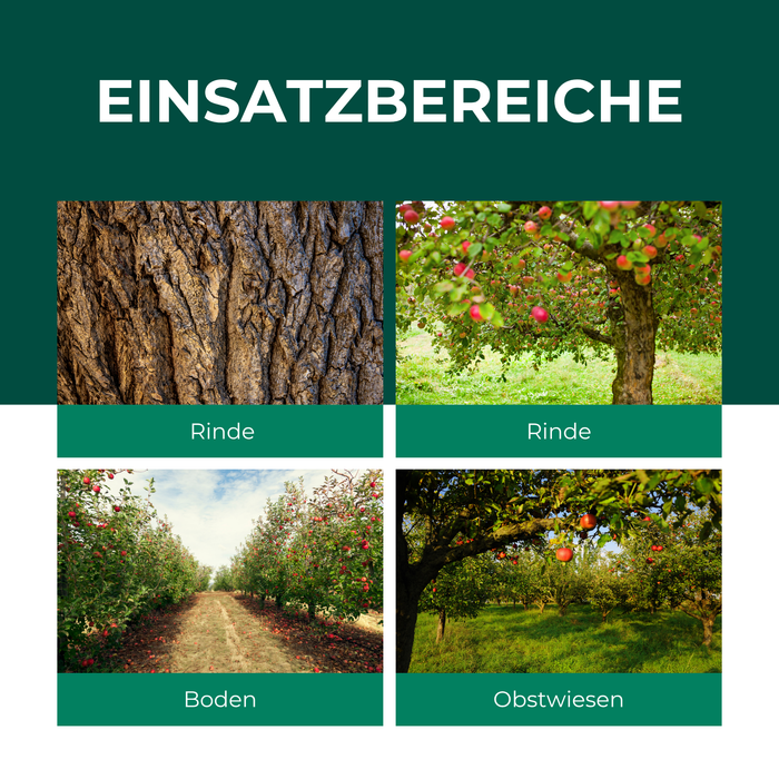 SF Nematoden gegen Apfelwickler