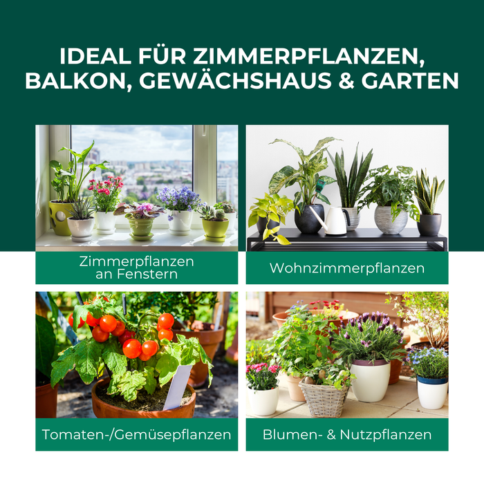 Gelbfalle Gelbtafeln Gelbsticker 12 Stück gegen Fruchtfliegen, Trauermücken, uvm.