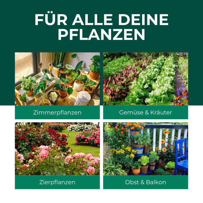 Neemöl mit Emulgator – Pflegendes Neemöl-Konzentrat für Deine Pflanzen