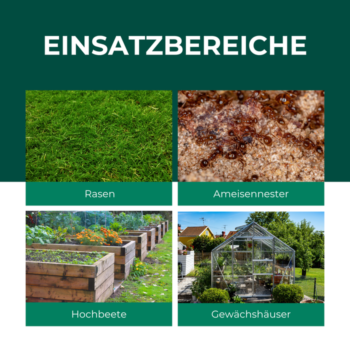 SF Nematoden gegen Ameisen