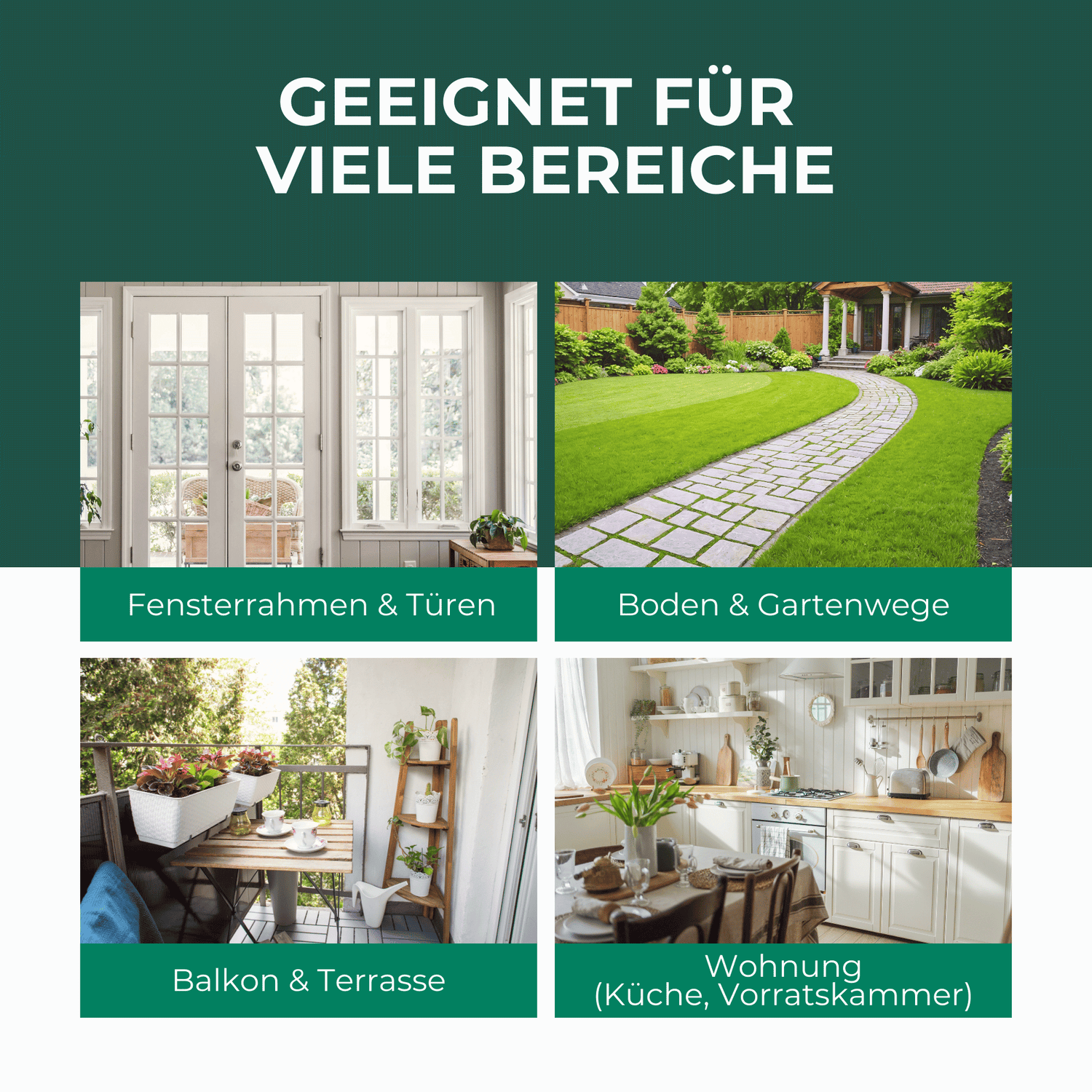 Ameisen-Ex Gel: Sofortige Lösung gegen Ameisenbefall im Innen- und Außenbereich - Silberkraft