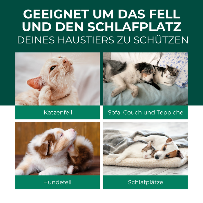 Ein Hund und eine Katze liegen auf einer Decke, umgeben von Text, der die Vorteile des Silberkraft Flohsprays für Fell und Schlafplatz hervorhebt.