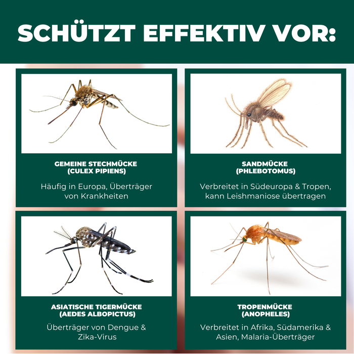 Moskitonetz Kinderwagen & Buggy - universeller Insektenschutz für Babys unterwegs - Feinmaschiges Netz, leicht & reisetauglich