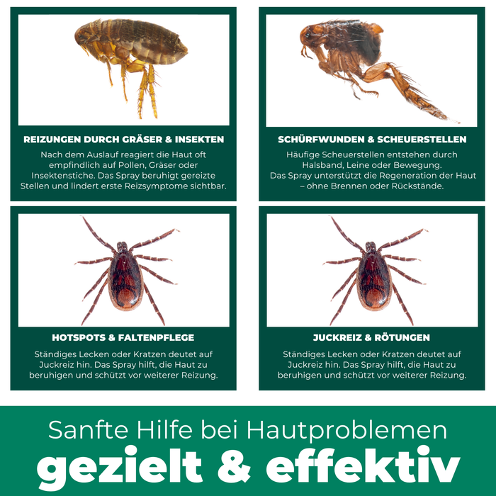 Kolloidales Silberspray 100 ml - Spray zur Wundheilung - Hautpflege bei Ungezieferbefall, Juckreiz, Infektionen, Entzündungen - für Hunde, Katzen, Nagetiere und andere Haustiere