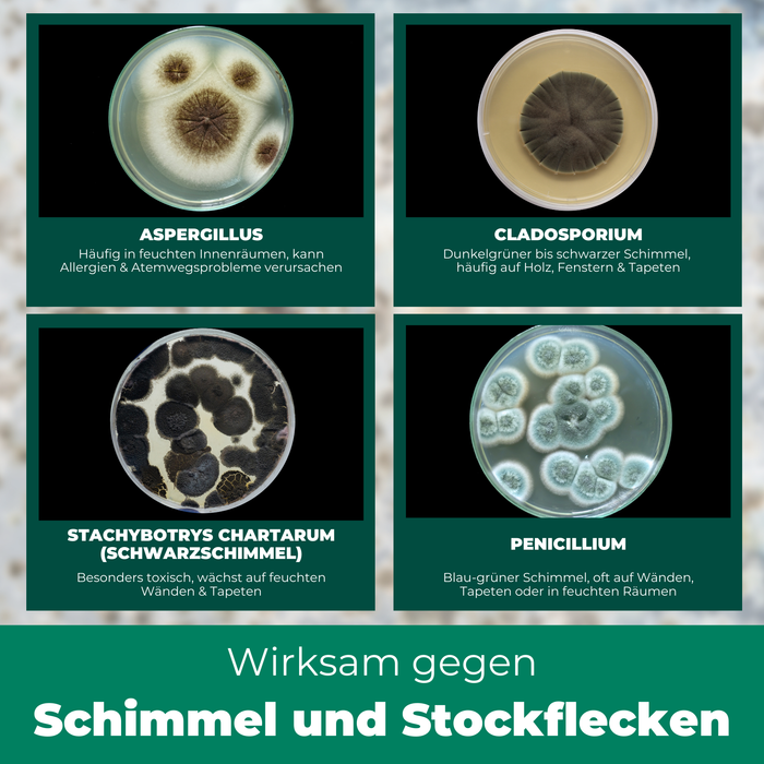 Schimmelentferner / Schimmelspray mit E-Book - Gegen Schimmel & Stockflecken