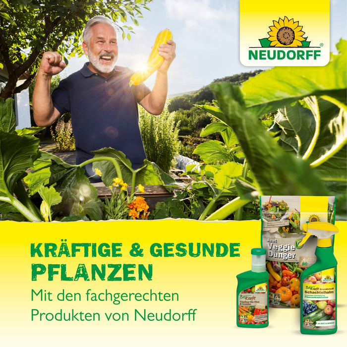 Neudorff Neudofix WurzelAktivator — Silberkraft