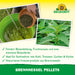 Neudorff Brennnessel Pellets - Silberkraft