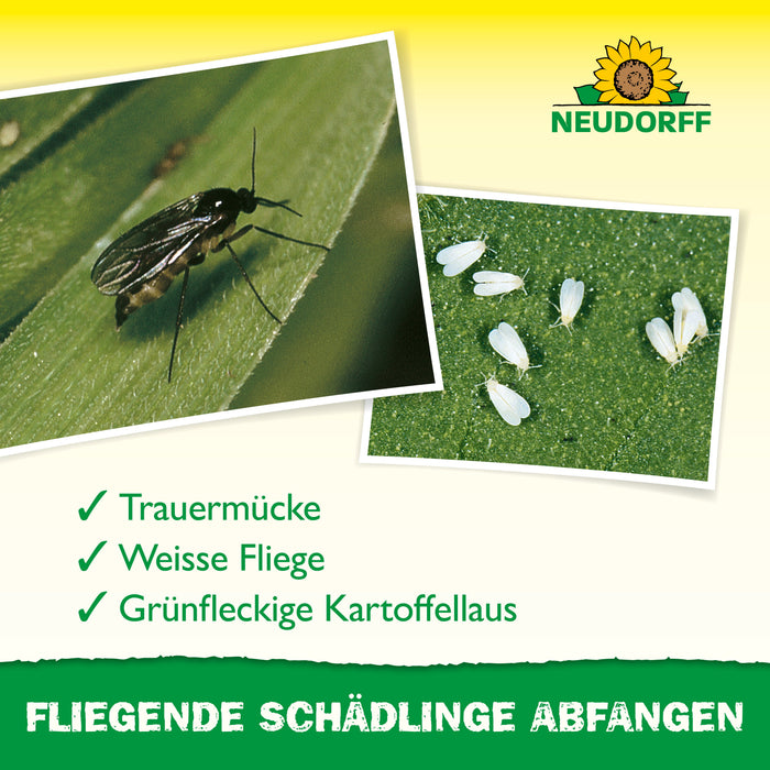 Neudorff Gelb-Sticker - Silberkraft