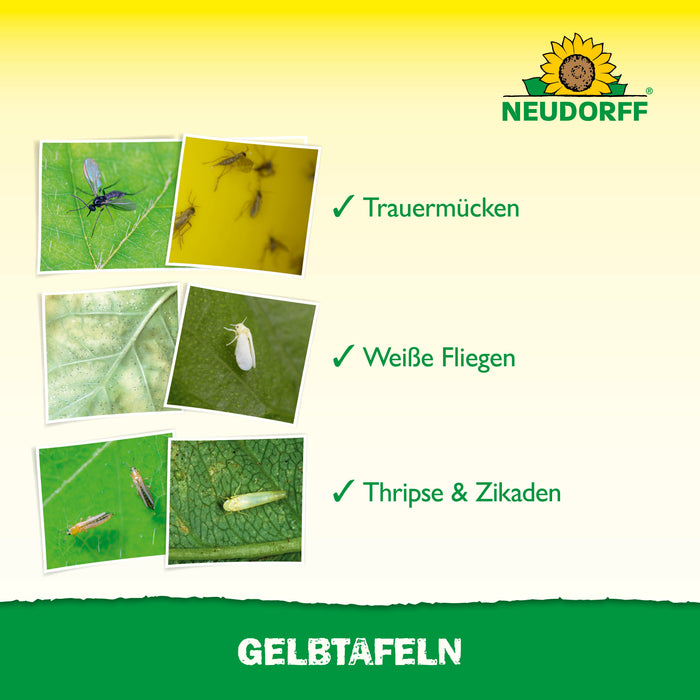 Neudorff Gelbtafeln (kleinformatig) - Silberkraft