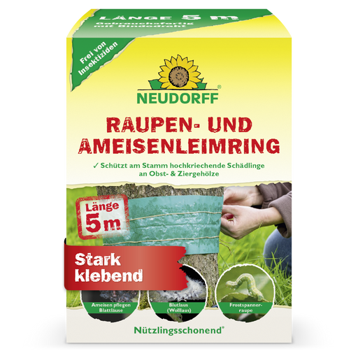 Raupen- und AmeisenLeimring