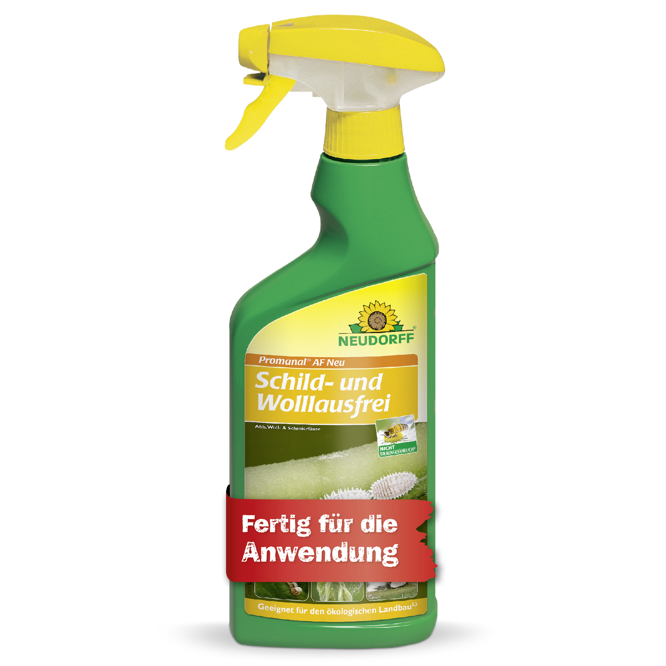 Wollläuse bekämpfen & loswerden